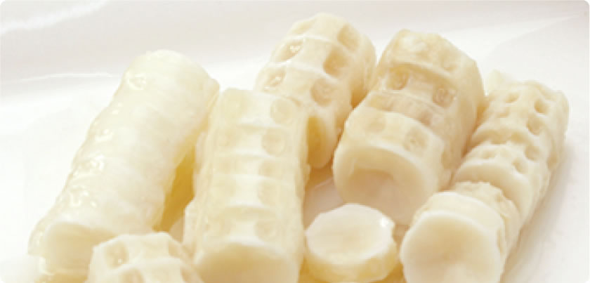 サメ軟膏コラーゲンの有効性 天然素材の化粧品 歯磨き粉 ルウ研究所
